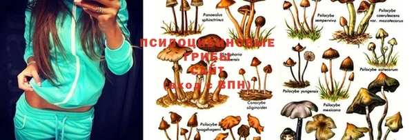 MESCALINE Алексин