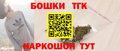 крисы Камышлов