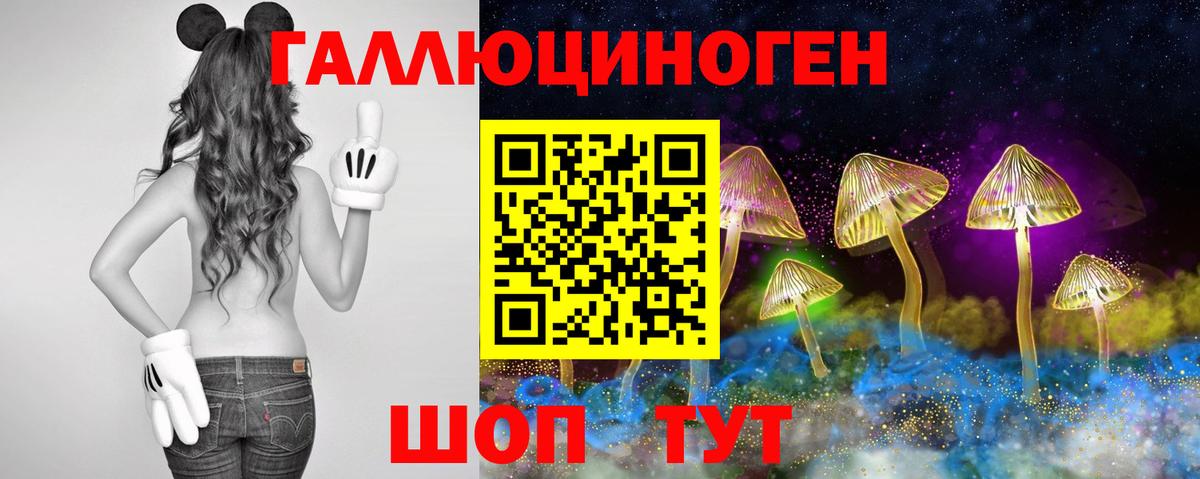 Гурьевск  Псилоцибиновые грибы Cubensis  купить наркотик  Вход с VPN 